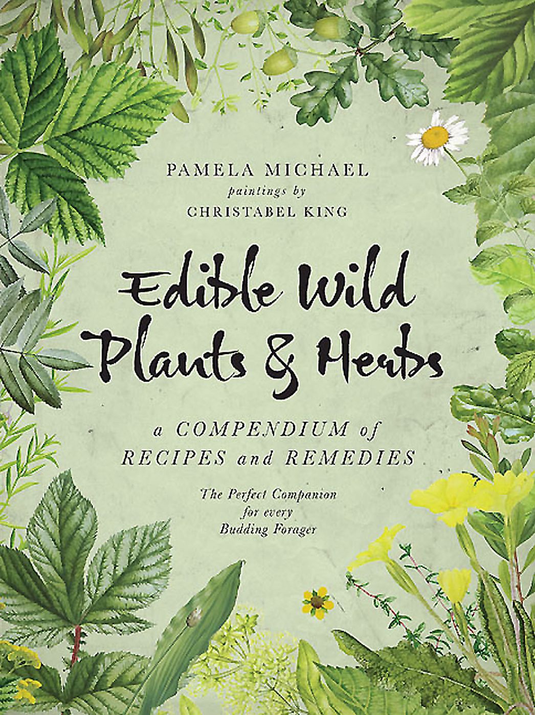 Edible Wild Plants & Herbs : A Compendium of Recipes and Remedies