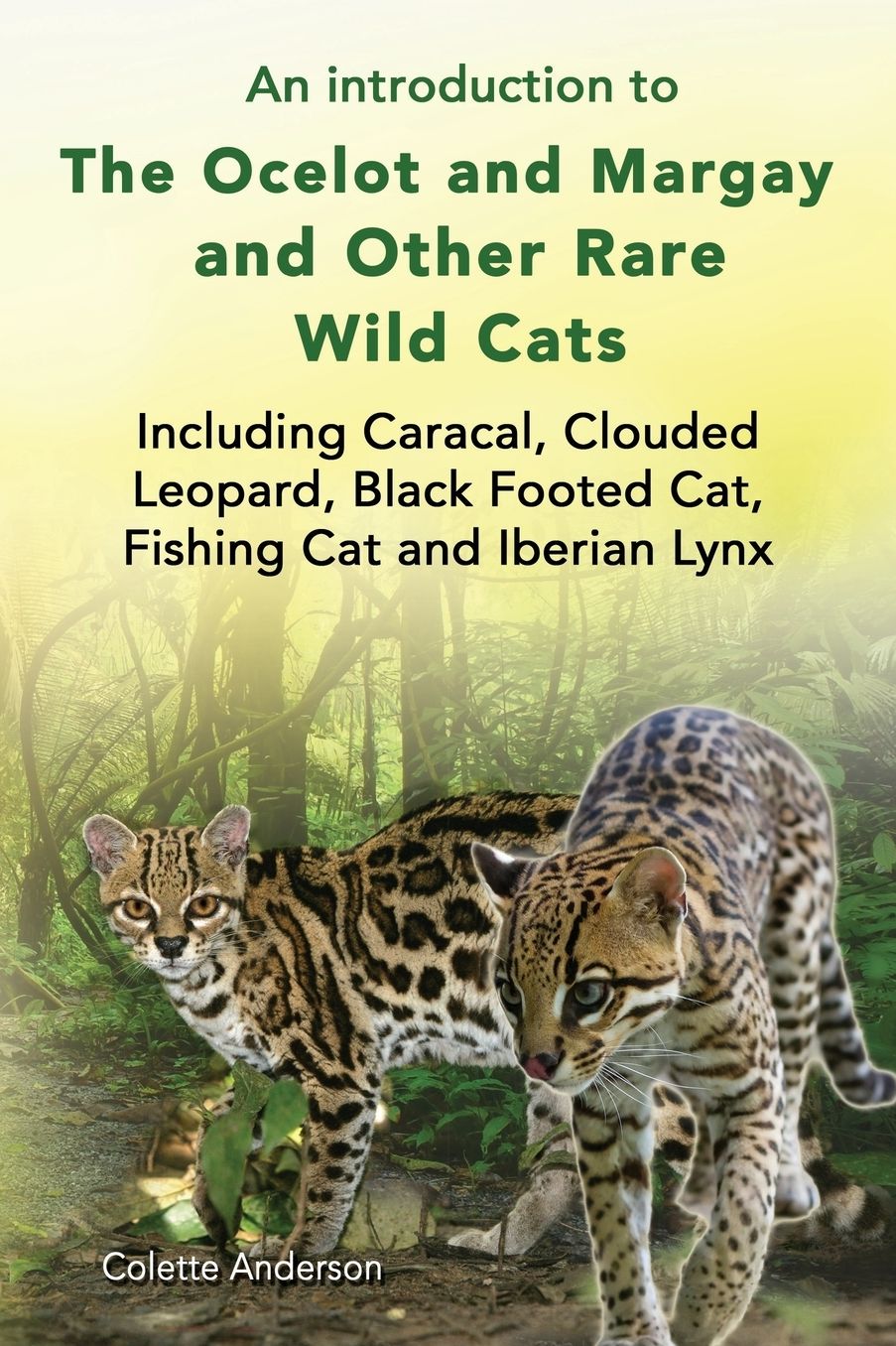 An introduction to The Ocelot and Margay and Other Rare Wild Cats Including Caracal, Clouded Leopard, Black Footed Cat, Fishing Cat and Iberian Lynx