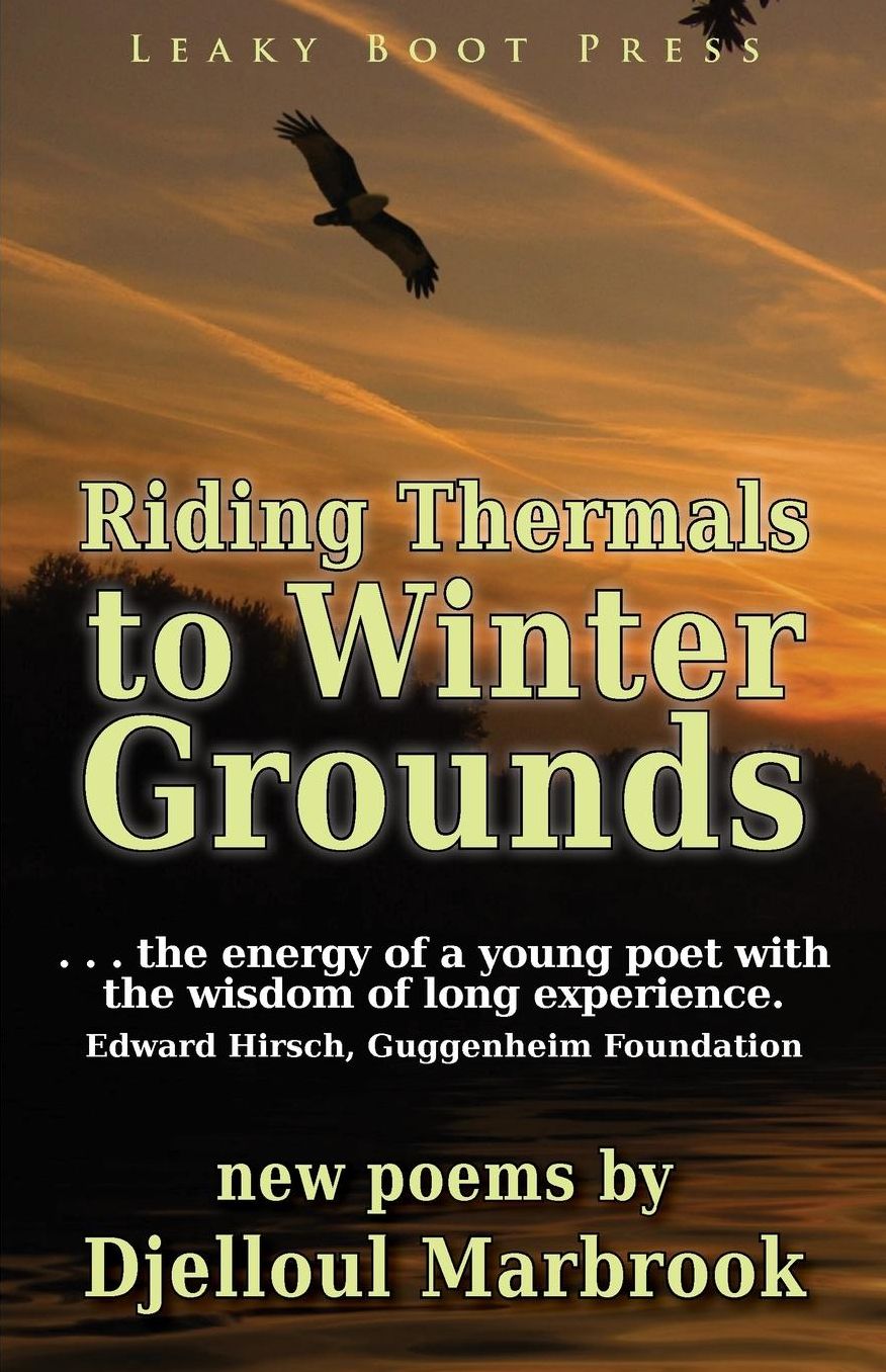 Riding Thermals to Winter Grounds