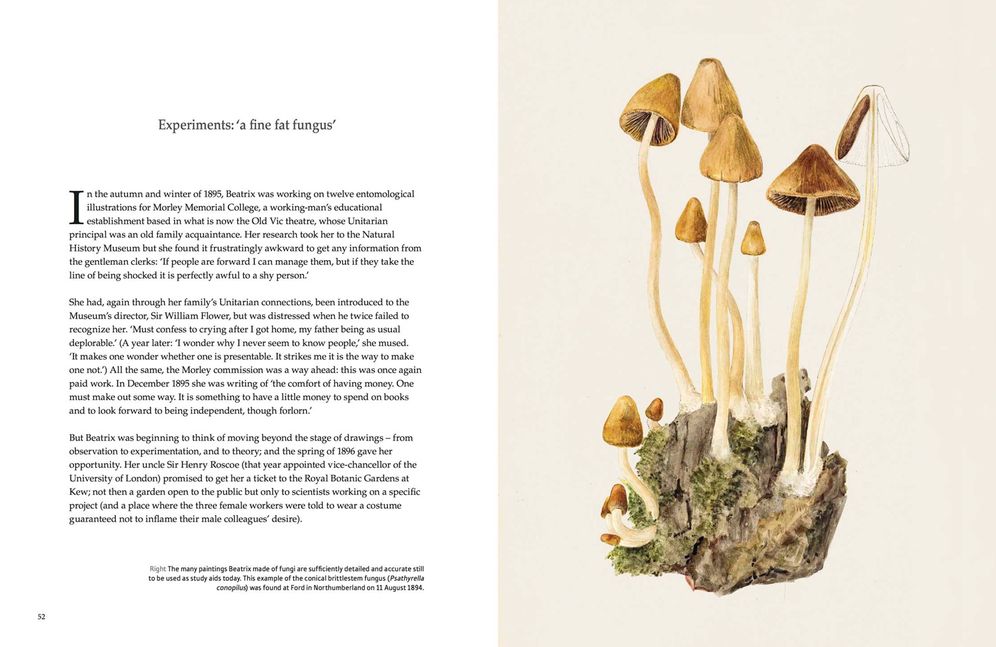 The Story of Beatrix Potter