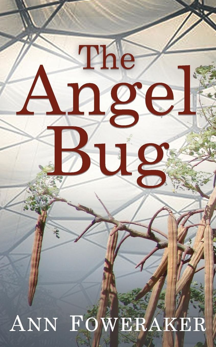 The Angel Bug