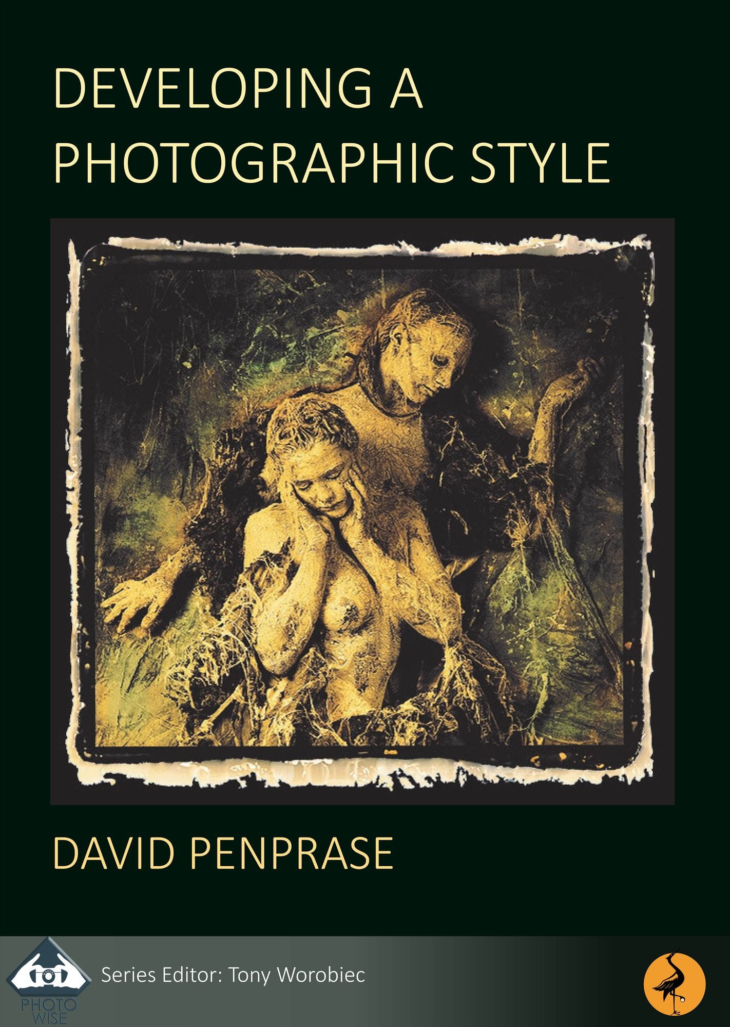 PhotoWise Masterclass: Developing a Photographic Style
