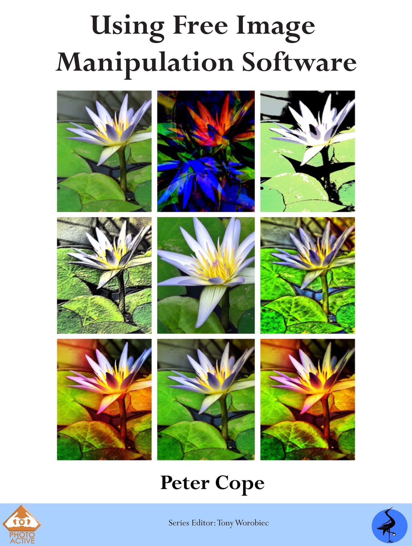 PhotoActive: Using Free Image Manipulation Software