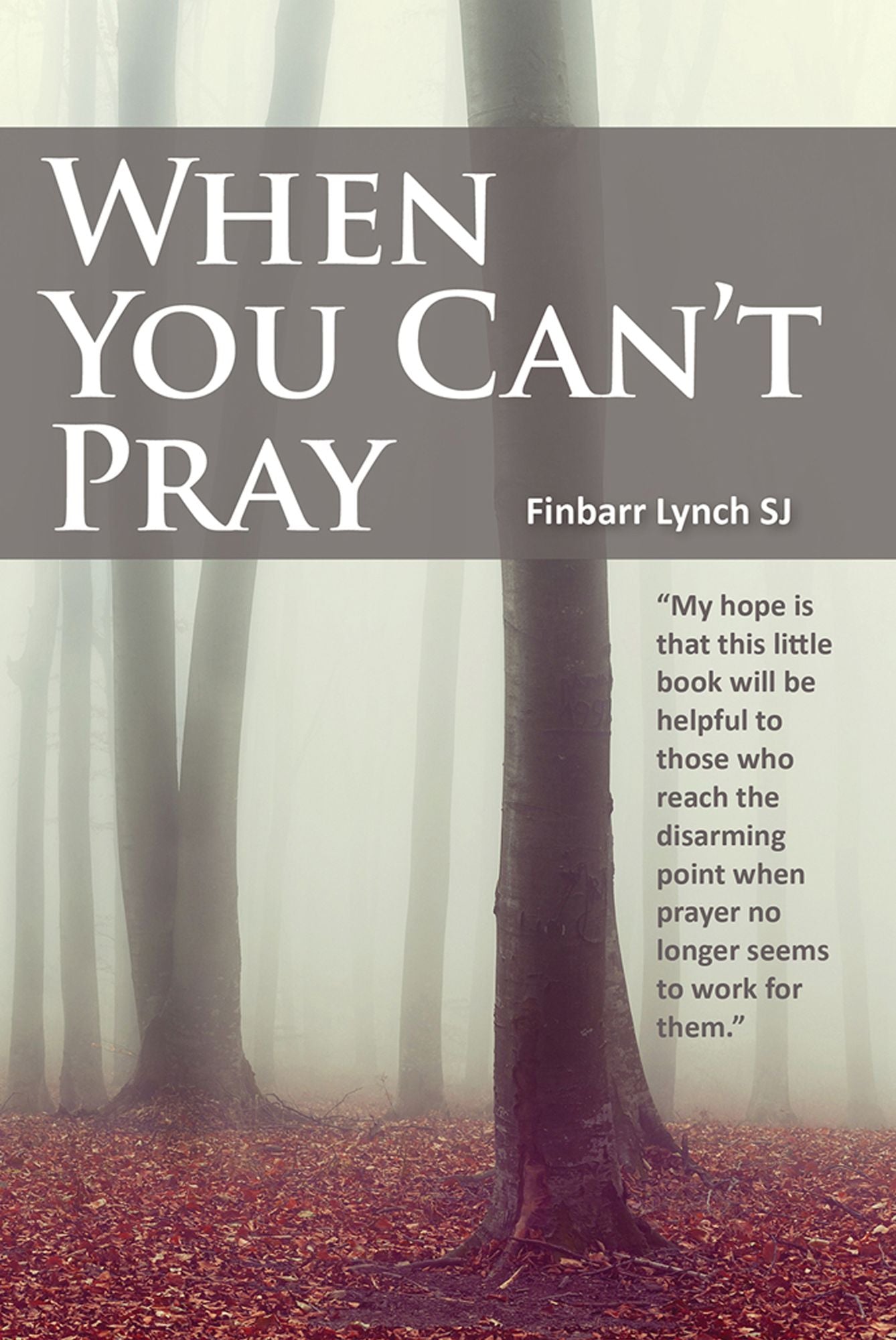When You Can't Pray