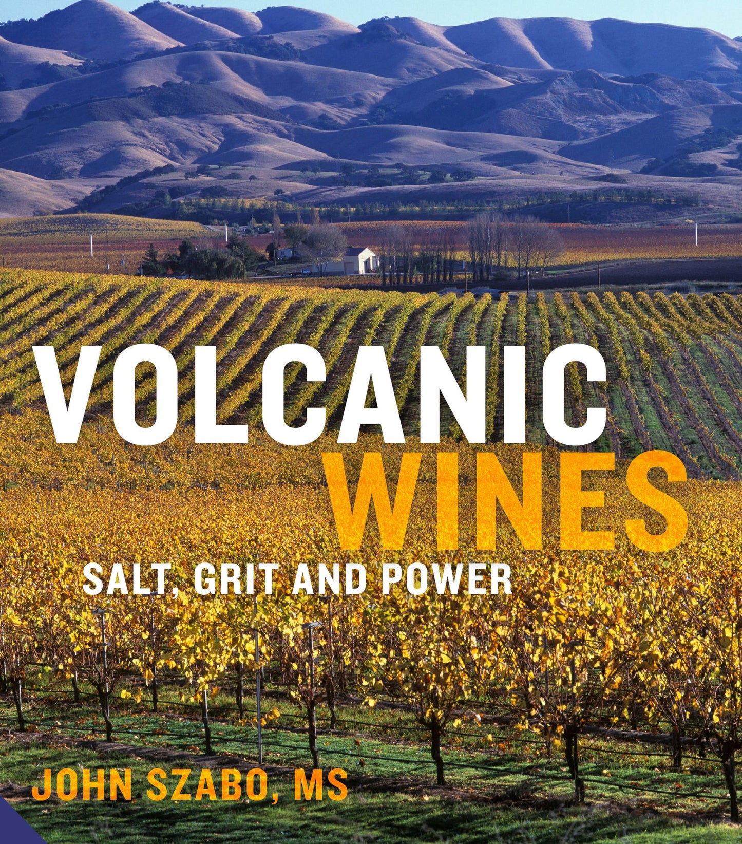 Volcanic Wines: Salt, Grit and Power