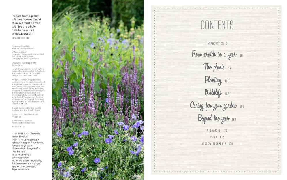 Brilliant & Wild: A Garden from Scratch in a Year