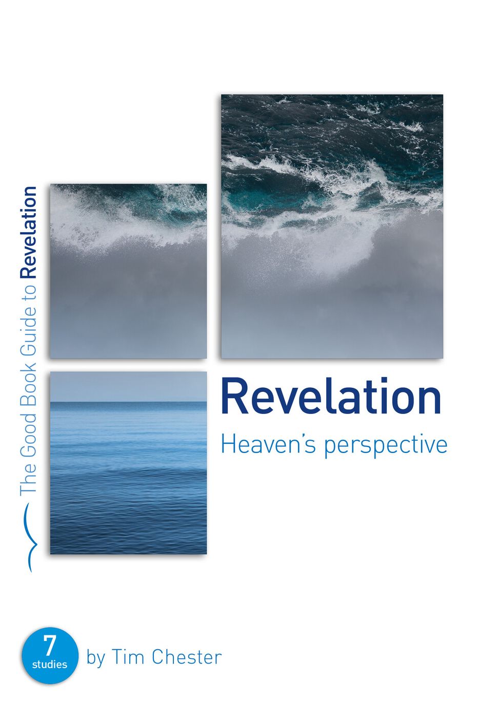 Revelation: Heaven's perspective: 7 studies for individuals or groups
