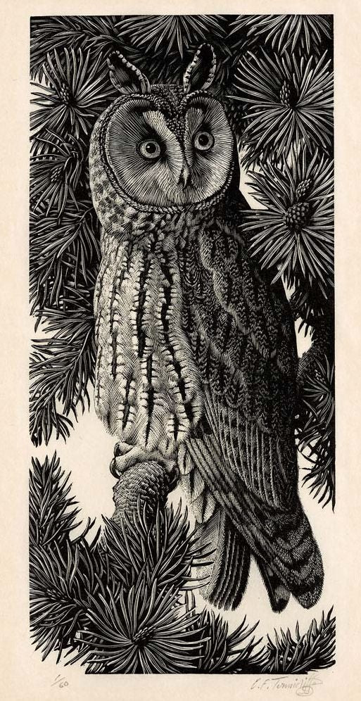 Charles Tunnicliffe: Prints, a Catalogue RaisonnÃ¯Â¿Â½