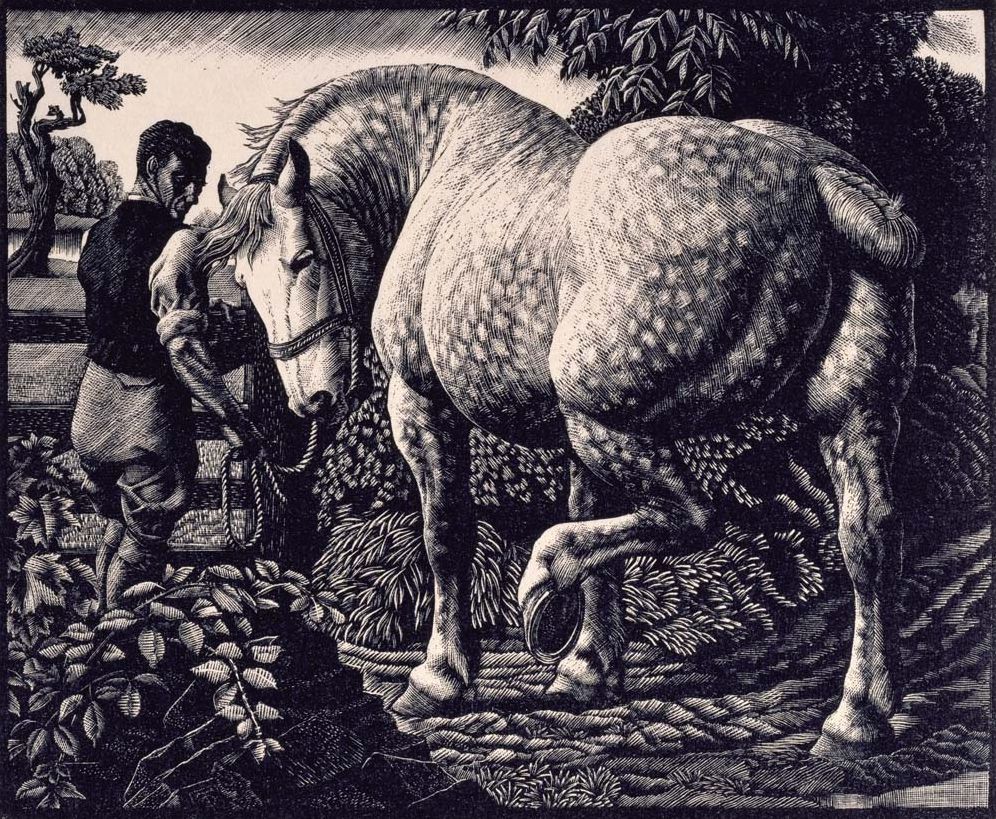 Charles Tunnicliffe: Prints, a Catalogue RaisonnÃ¯Â¿Â½