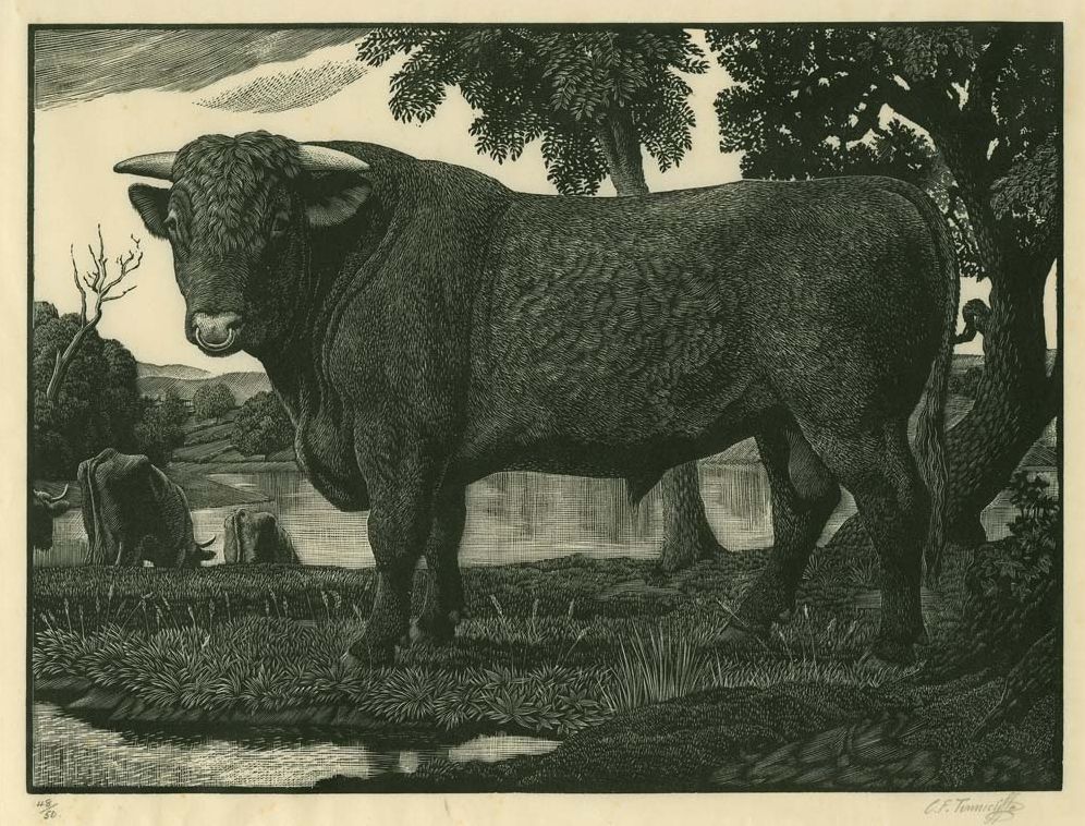 Charles Tunnicliffe: Prints, a Catalogue RaisonnÃ¯Â¿Â½