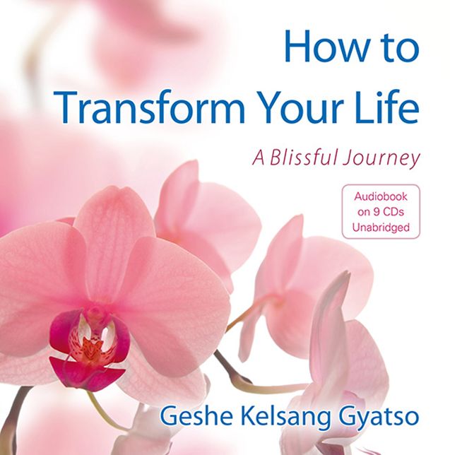How to Transform Your Life: A Blissful Journey
