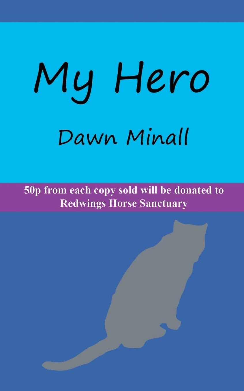 My Hero