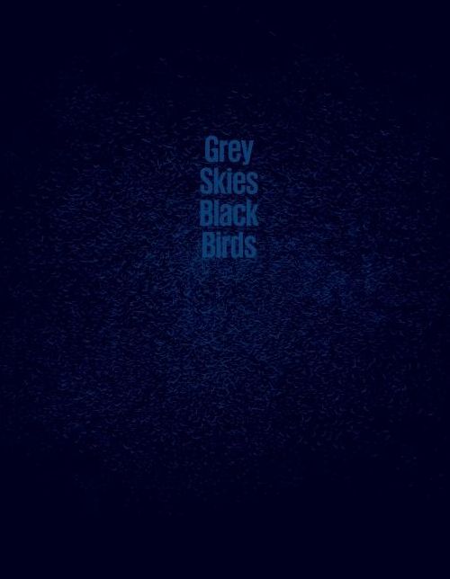 Grey Skies, Black Birds