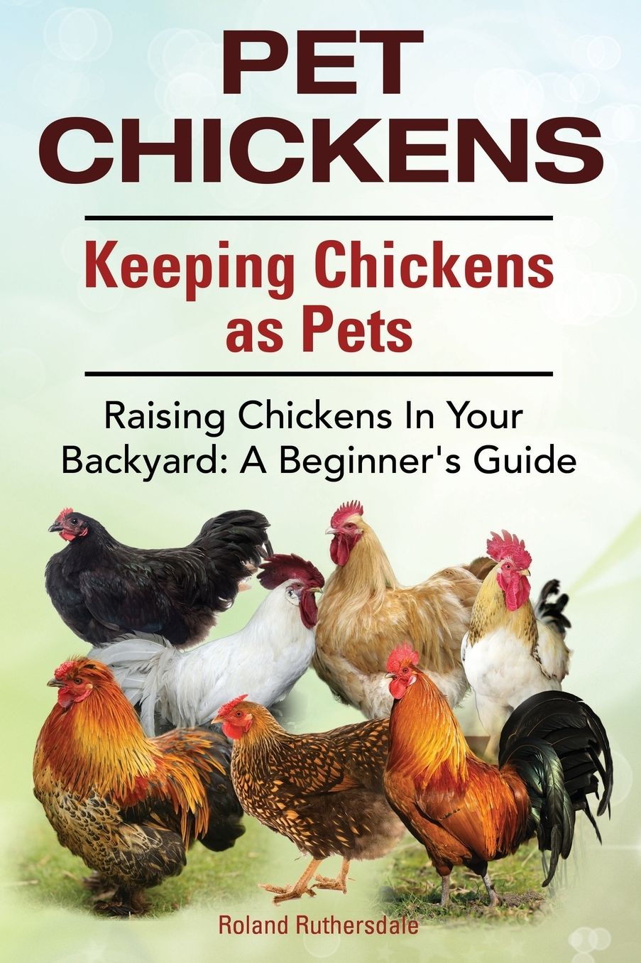 Pet Chickens. Keeping Chickens as Pets. Raising Chickens In Your Backyard: A Beginners Guide.