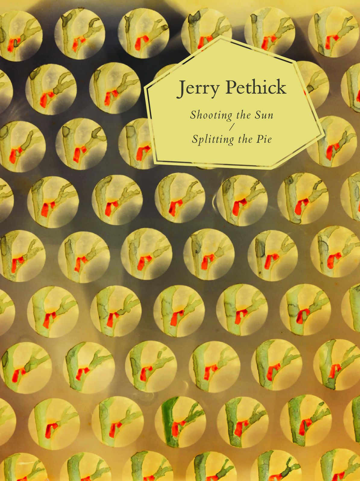 Jerry Pethick : Shooting the Sun / Splitting the Pie