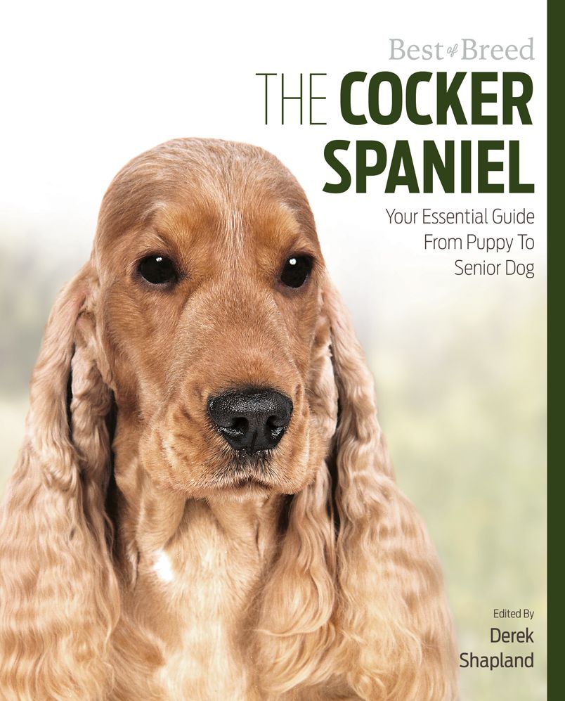 The Cocker Spaniel: Your Essential Guide From Puppy To Senior Dog
