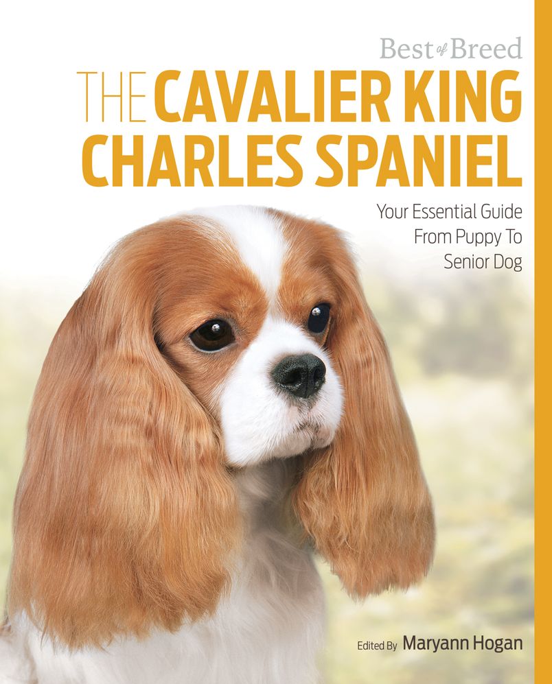 The Cavalier King Charles: Your Essential Guide From Puppy To Senior Dog