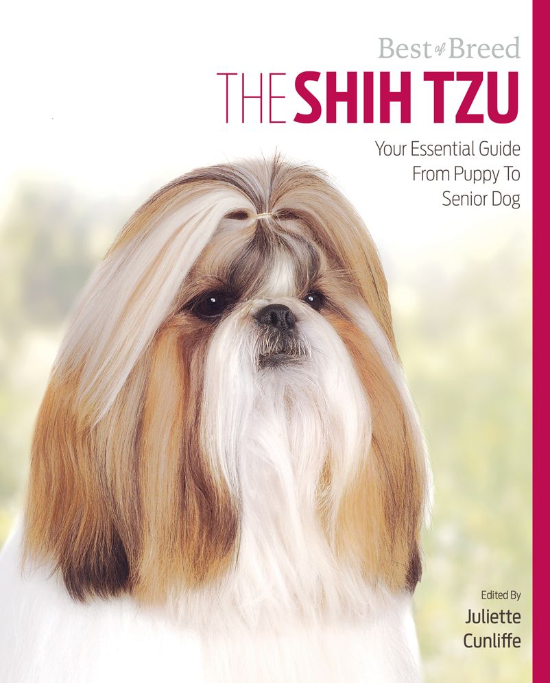 The Shih Tzu: Your Essential Guide From Puppy To Senior Dog