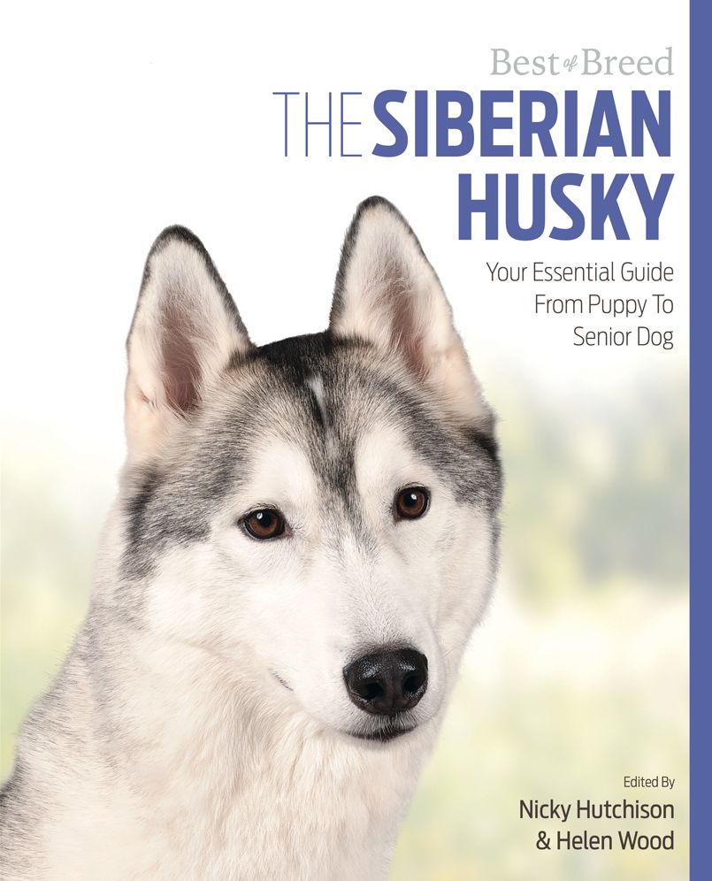 The Siberian Husky: Your Essential Guide From Puppy To Senior Dog