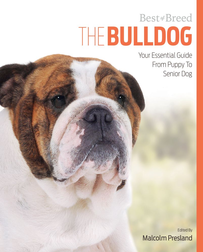 The Bulldog: Your Essential Guide From Puppy To Senior Dog