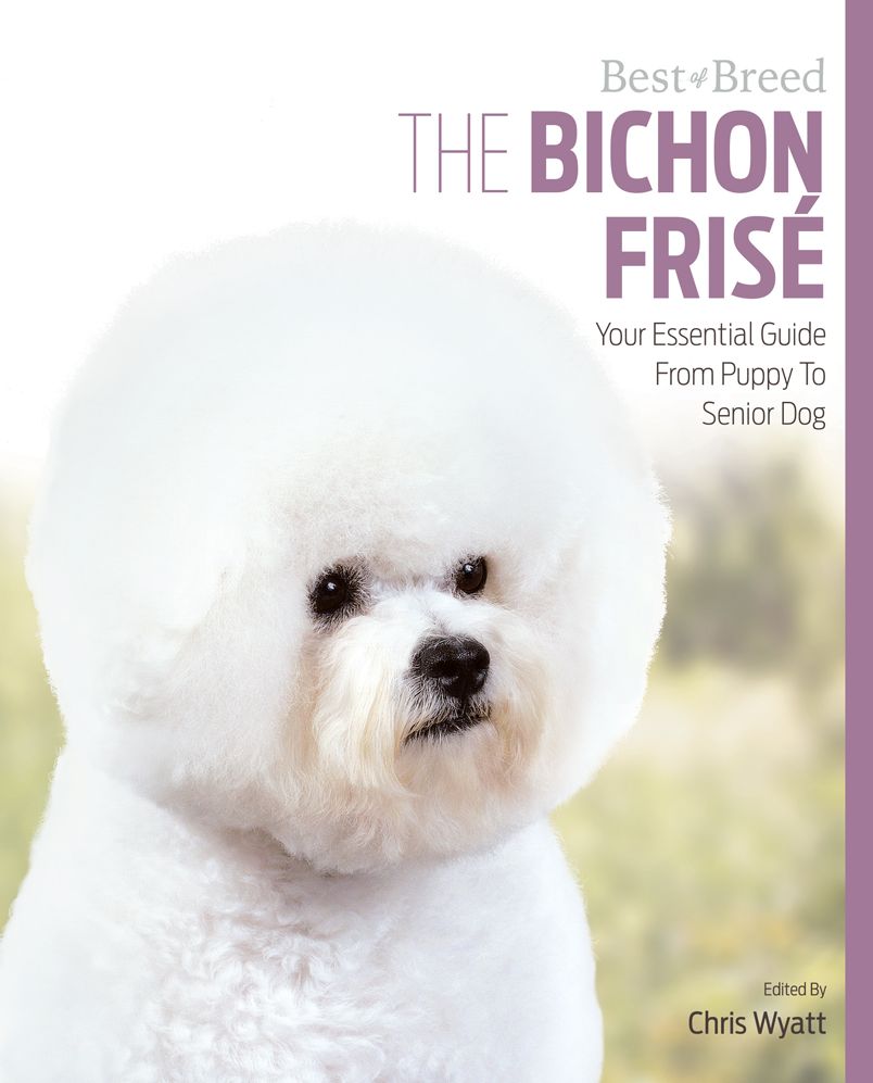 The Bichon Frise: Your Essential Guide From Puppy To Senior Dog