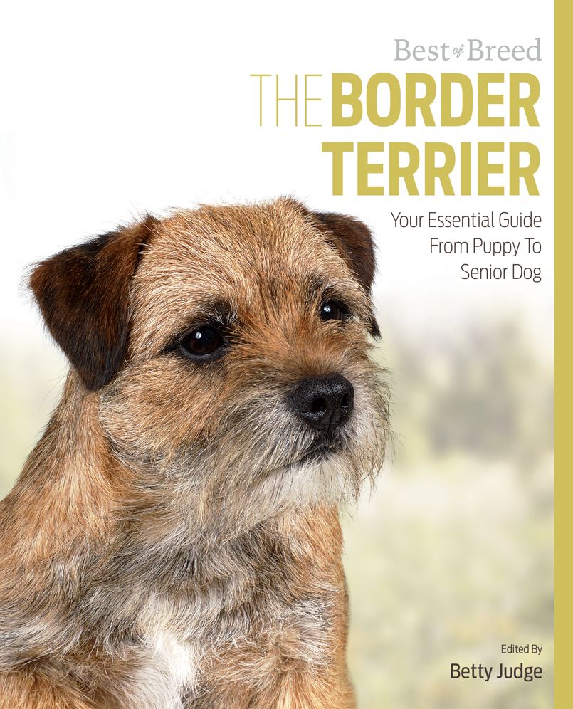 The Border Terrier: Your Essential Guide From Puppy To Senior Dog