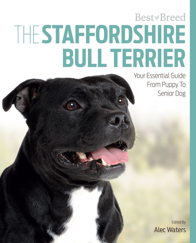 The Staffordshire Bull Terrier: Your Essential Guide From Puppy To Senior Dog