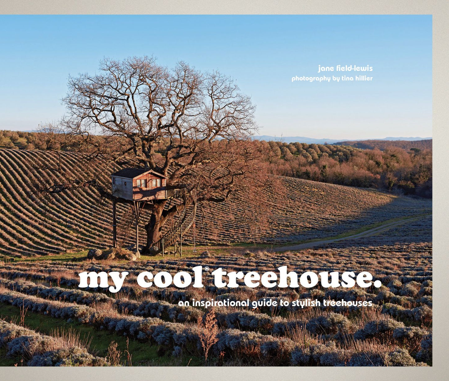 My Cool Treehouse: An Inspirational Guide to Stylish Treehouses