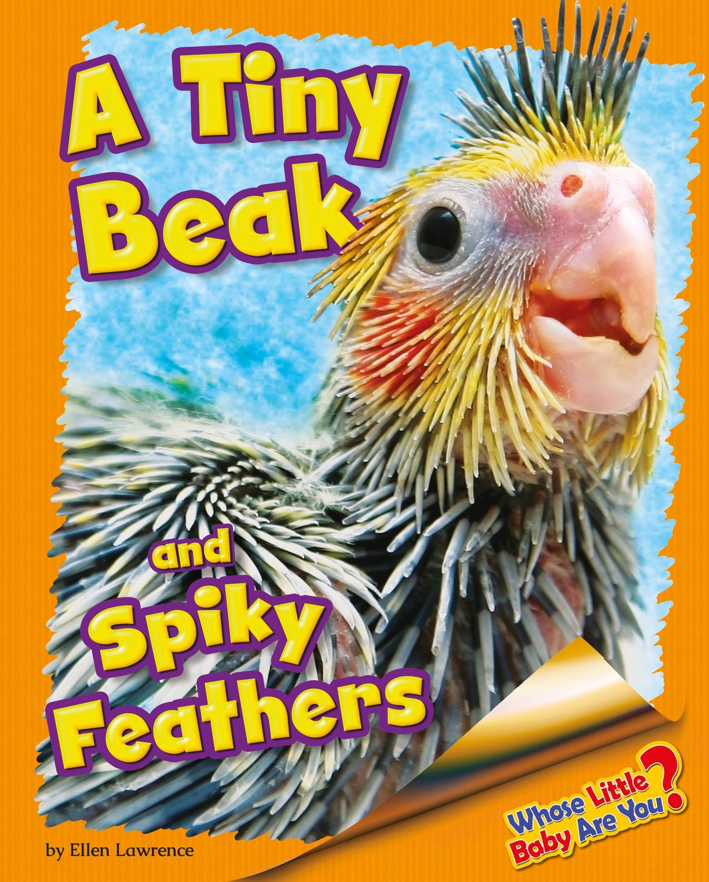 A Tiny Beak and Spiky Feathers