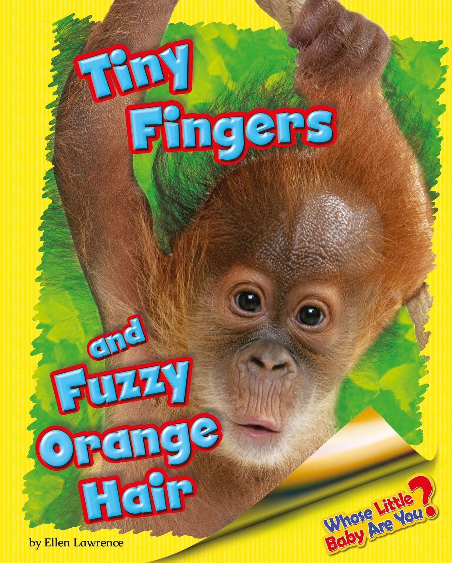 Tiny Fingers and Fuzzy Orange Hair