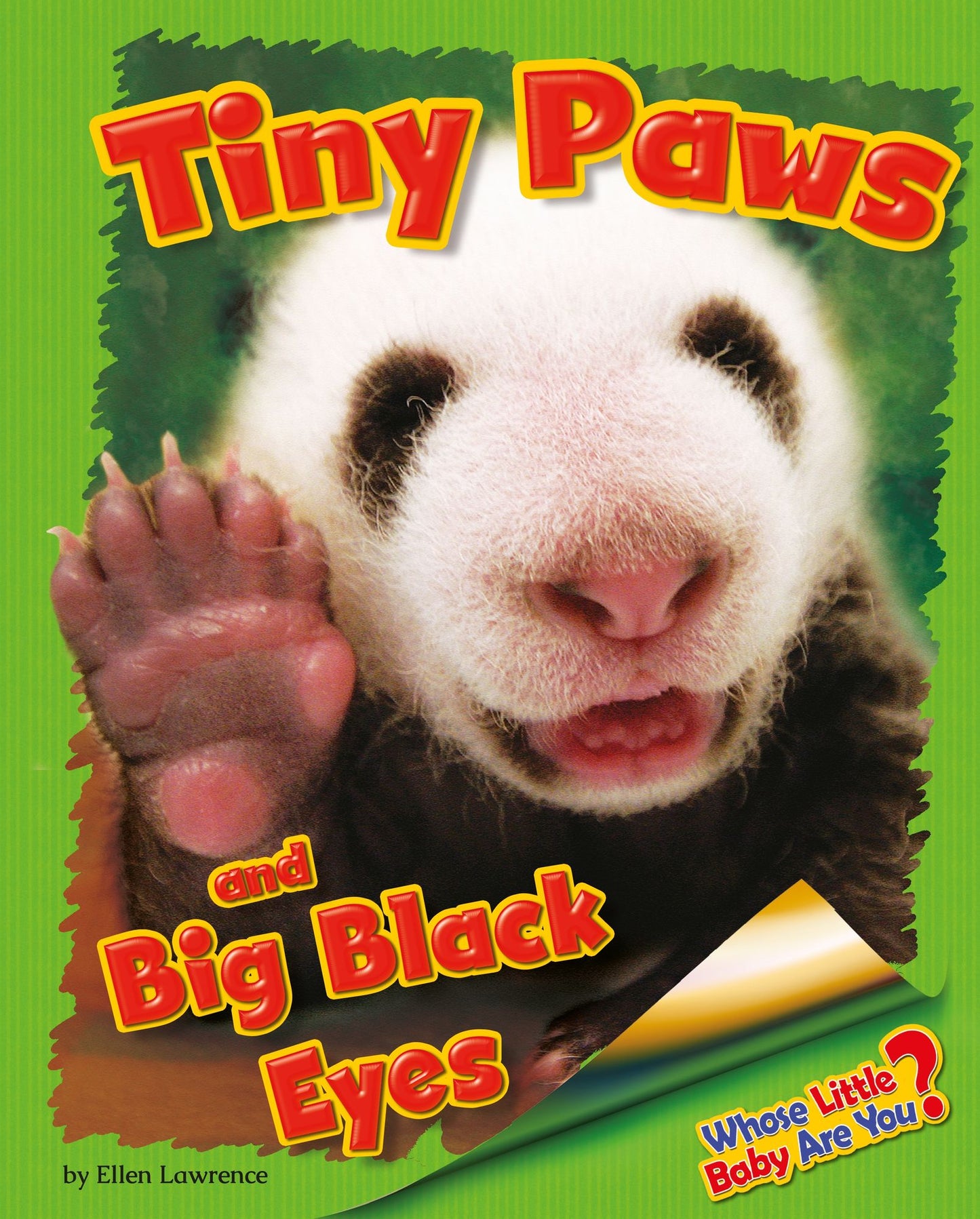Tiny Paws and Big Black Eyes