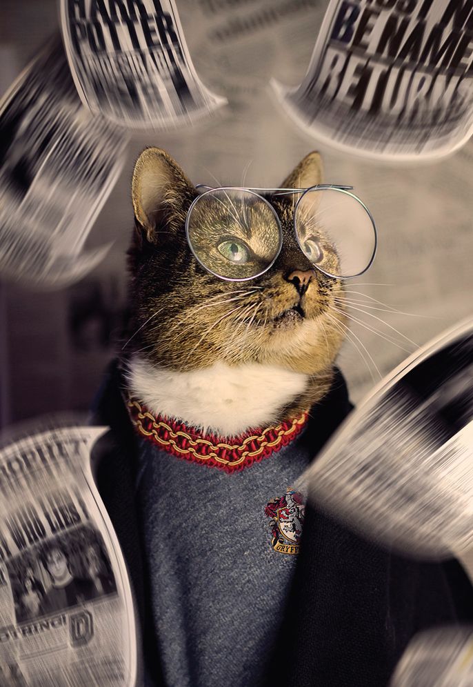 Cat Couture