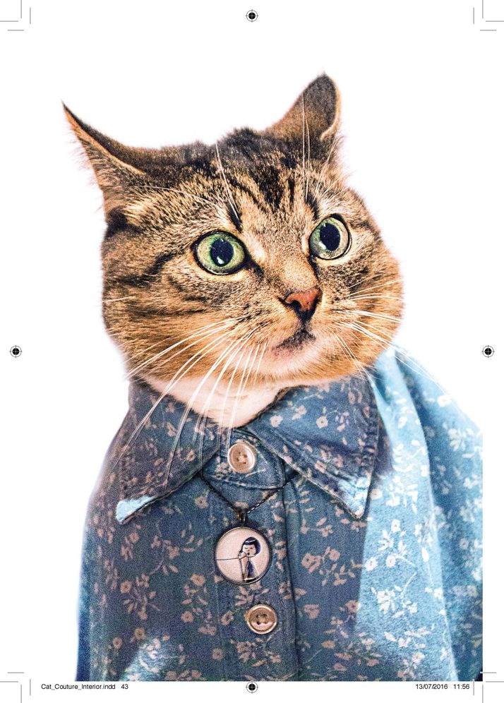 Cat Couture
