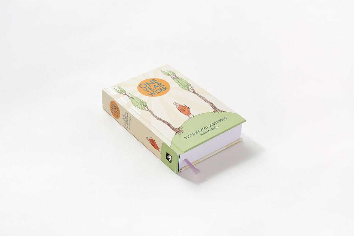 One Year Wiser: 365 Illustrated Meditations