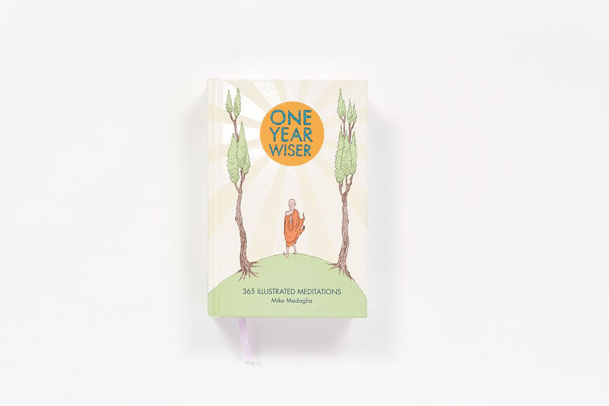 One Year Wiser: 365 Illustrated Meditations