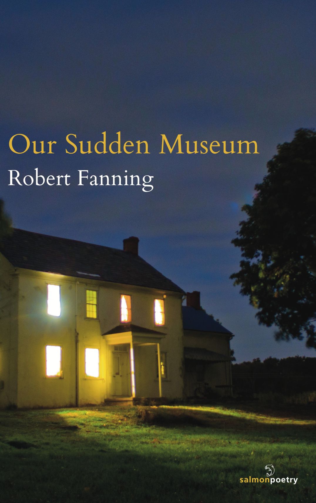 Our Sudden Museum