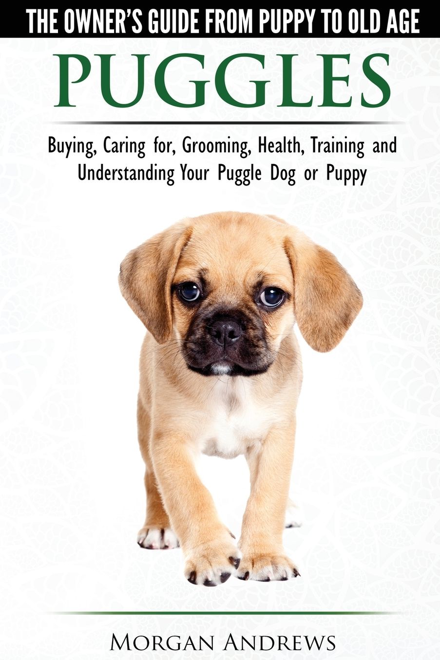 Puggles - The Owner's Guide from Puppy to Old Age - Choosing, Caring for, Grooming, Health, Training and Understanding Your Puggle Dog or Puppy