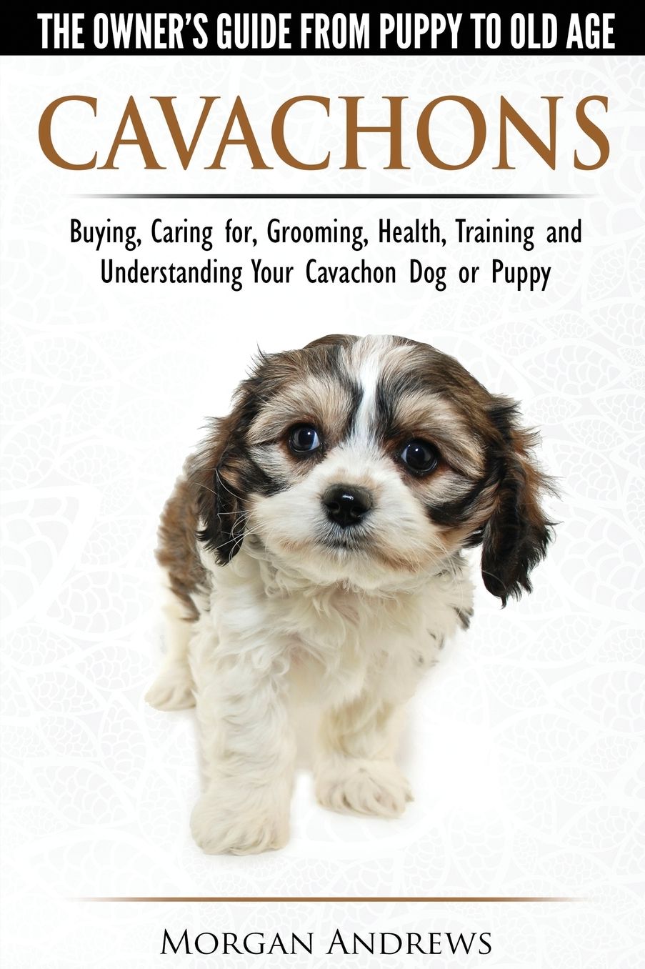 Cavachons - The Owner's Guide from Puppy to Old Age - Choosing, Caring For, Grooming, Health, Training and Understanding Your Cavachon Dog or Puppy