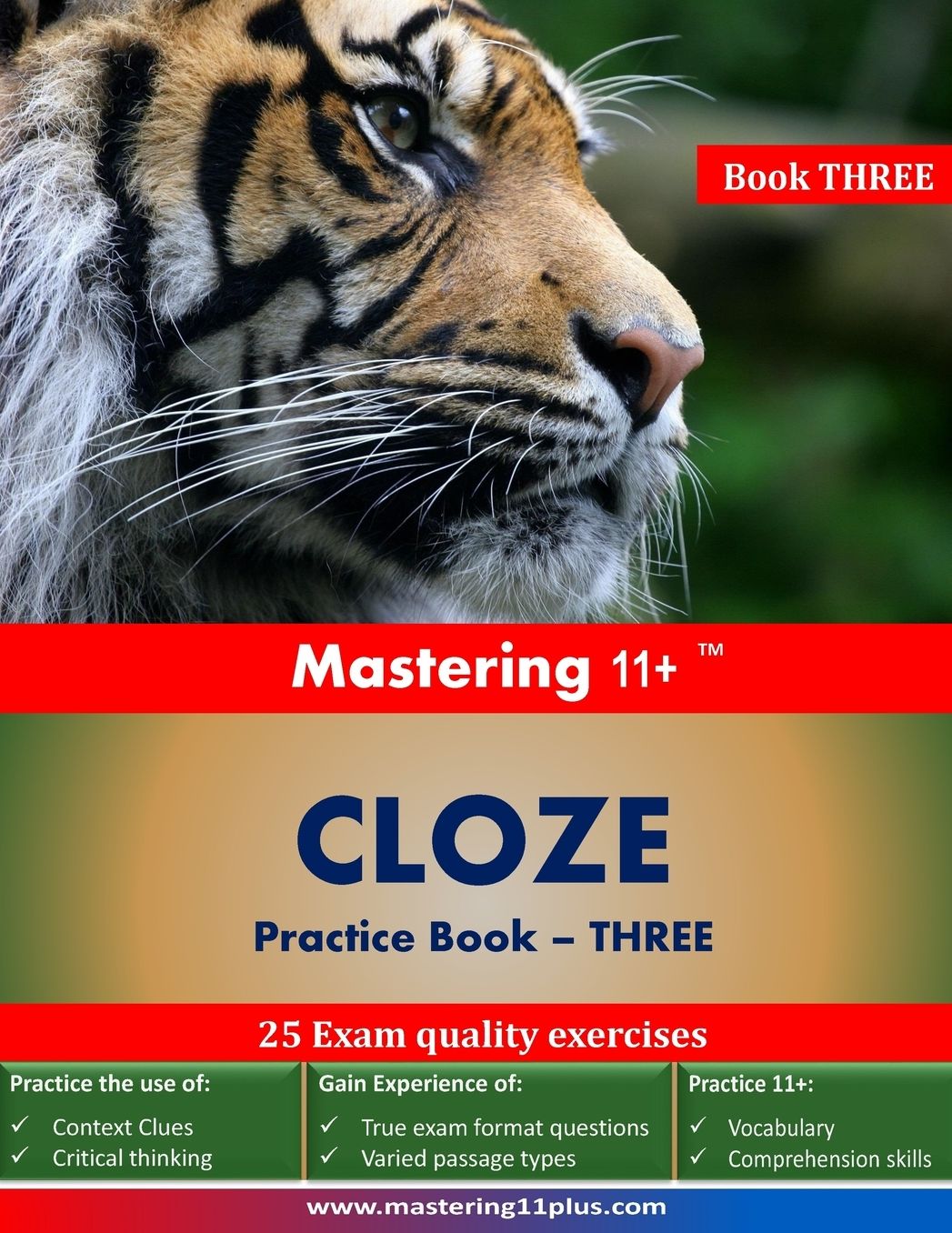 Mastering 11+ CLOZE - Practice Book 3