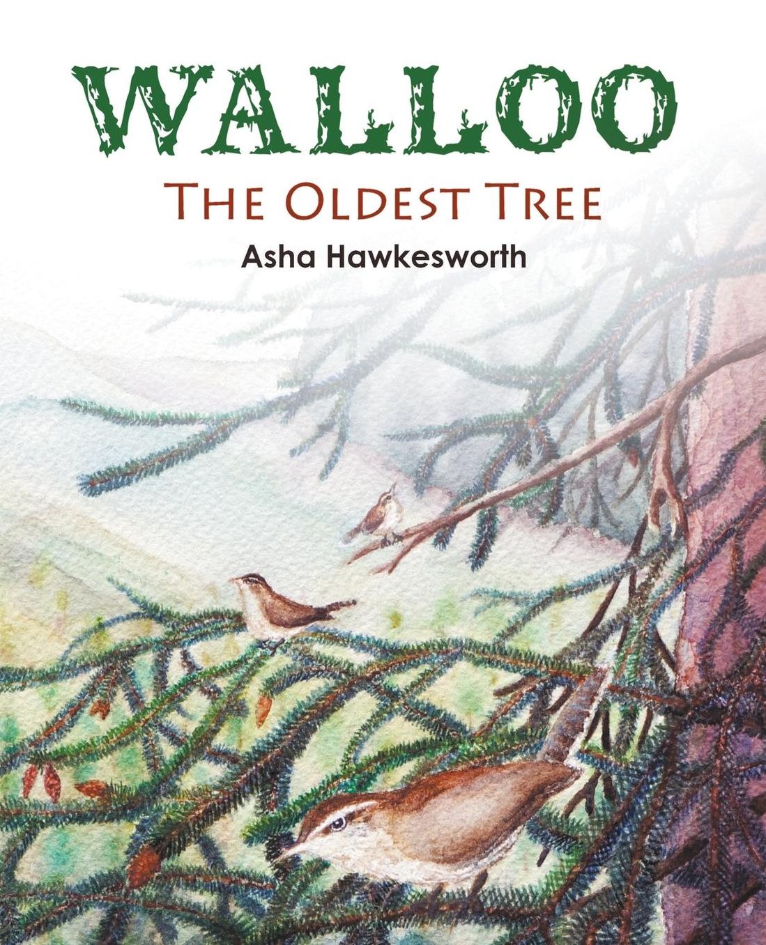 Walloo: The Oldest Tree