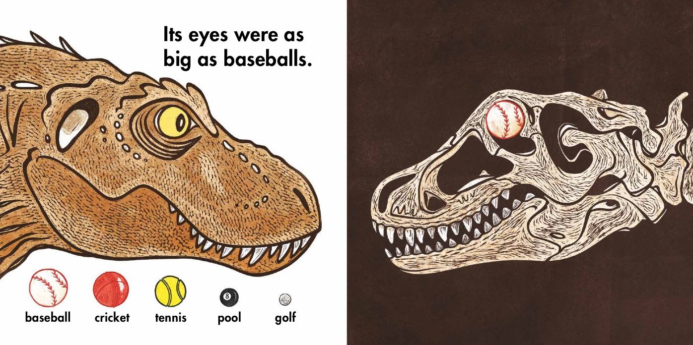 How Tall Was a T.rex?