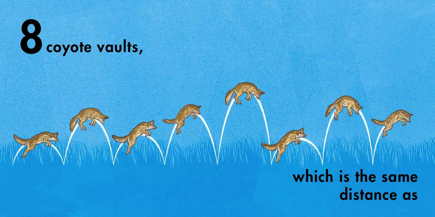 How Far Can a Kangaroo Jump?