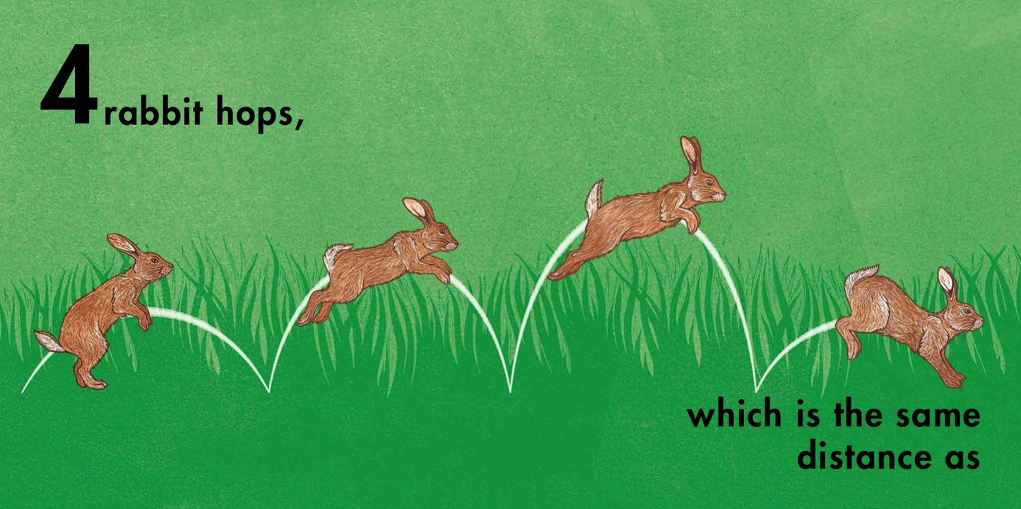 How Far Can a Kangaroo Jump?