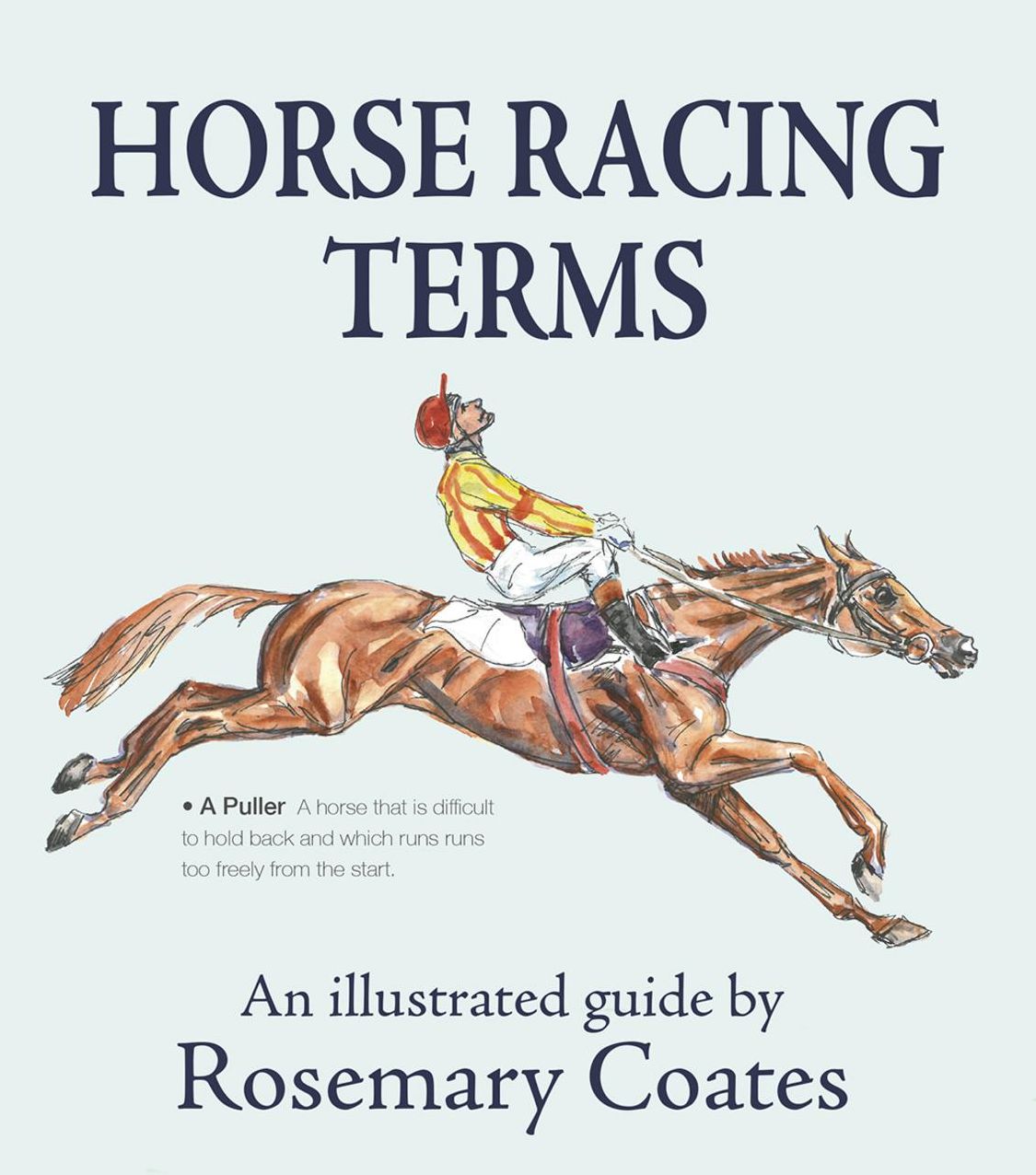 Horse Racing Terms: An Illustrated Guide