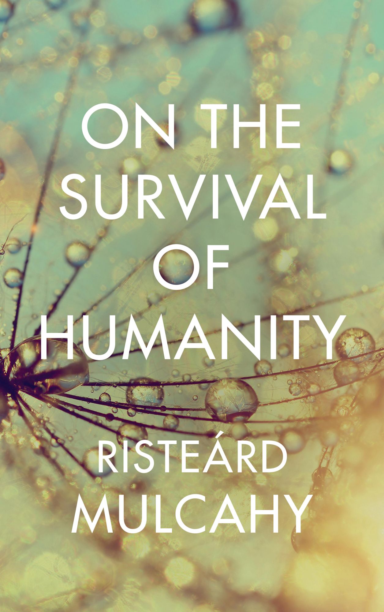 On the Survival of Humanity