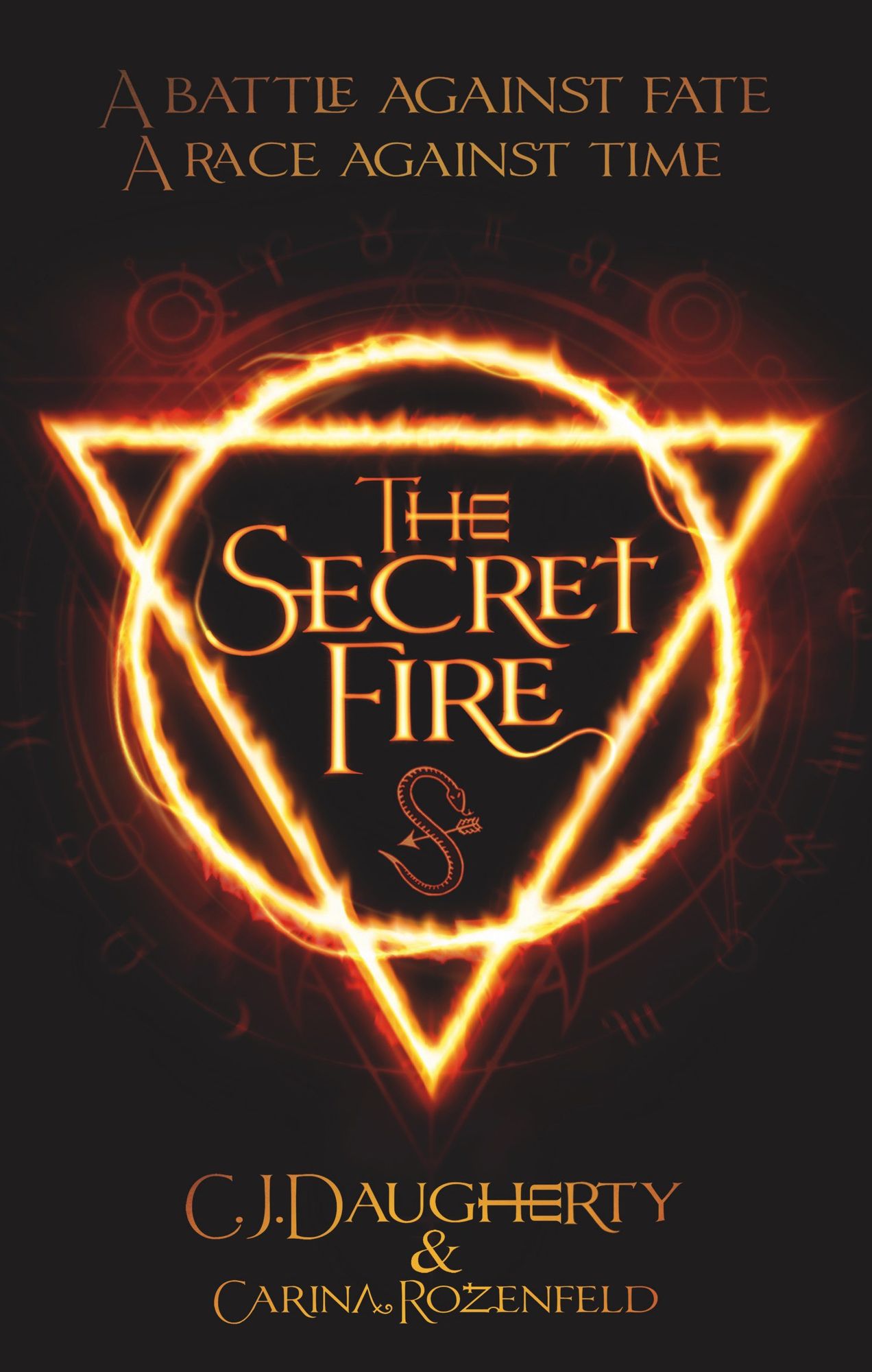 The Secret Fire: A gripping Young Adult Fantasy novel