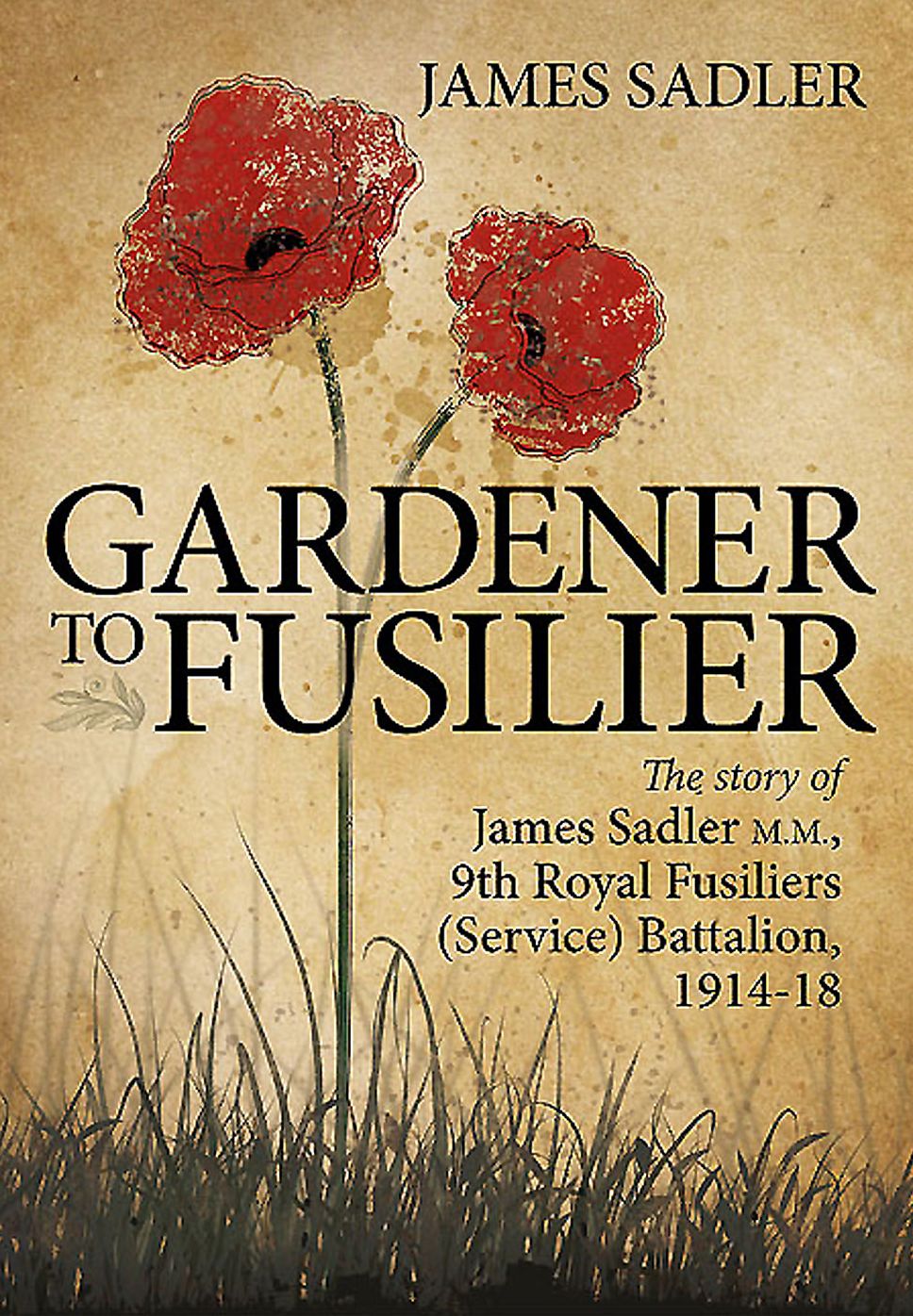 Gardener to Fusilier: The story of James Sadler M.M., 9th Royal Fusiliers (Service) Battalion, 1914-18