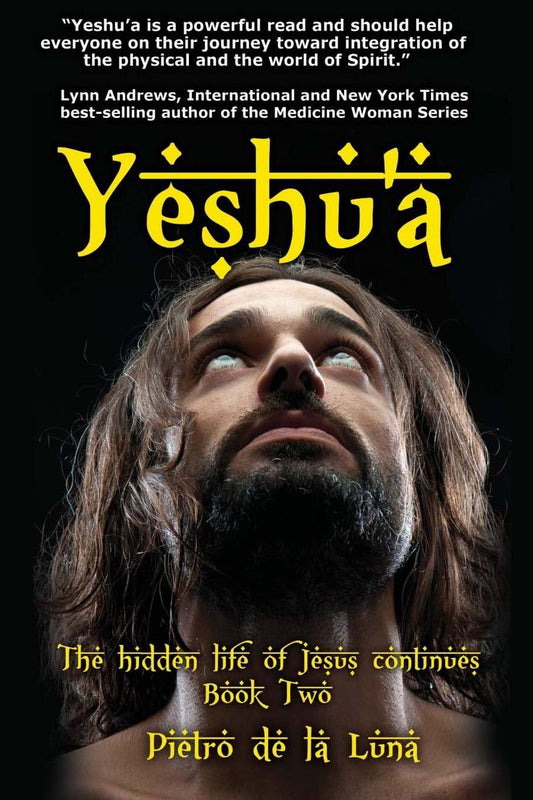 Yeshu'a: The story of the hidden life of Jesus: Book Two