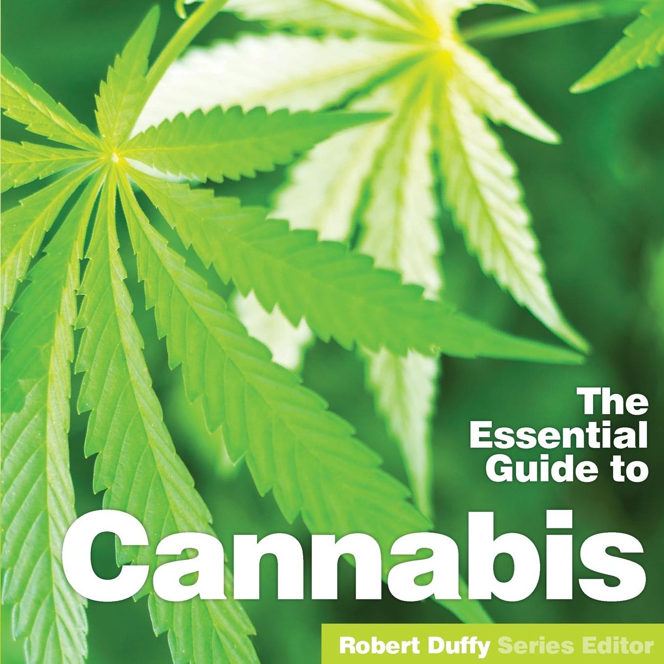 The Essential Guide to Cannabis