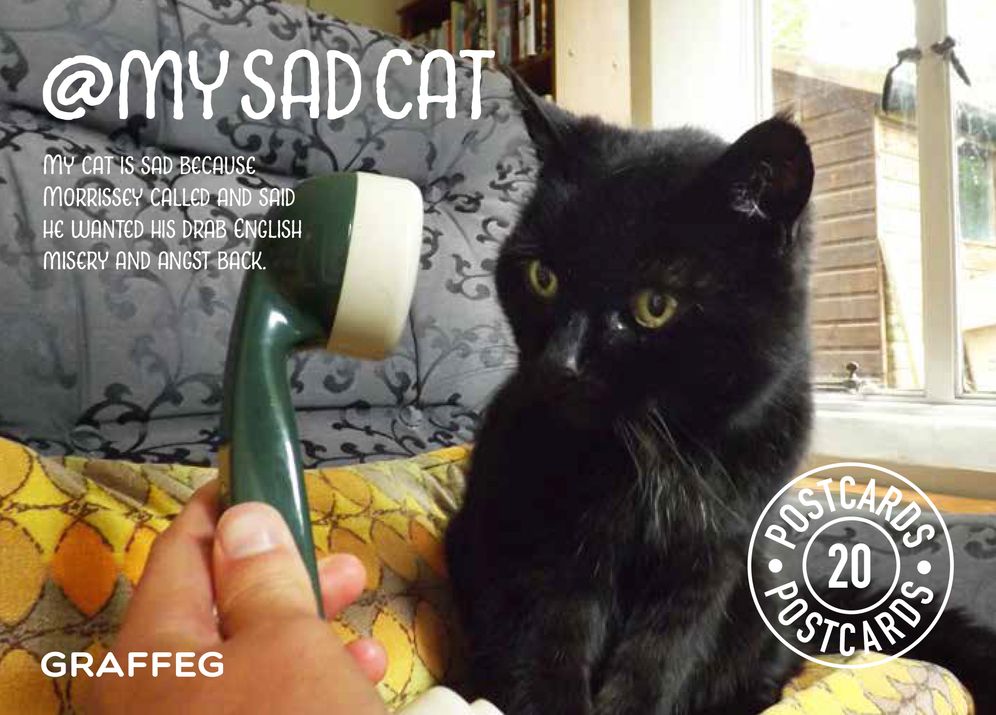 My Sad Cat Postcard Collection
